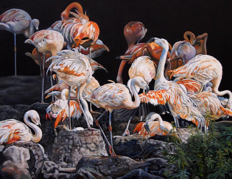 Christine Pultz Concerto di Fenicotteri