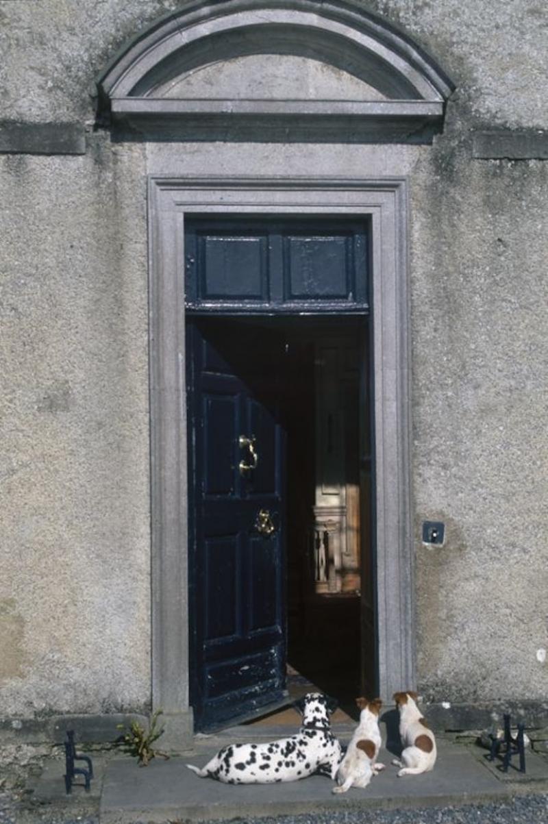 Christopher Simon Sykes Ballinlough Dogs