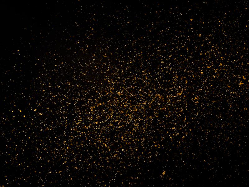 Christos J Palios Gold Dust Study II