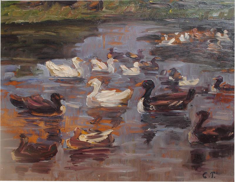Clovis Terraire Clovis Terraire Ducks on a Pond