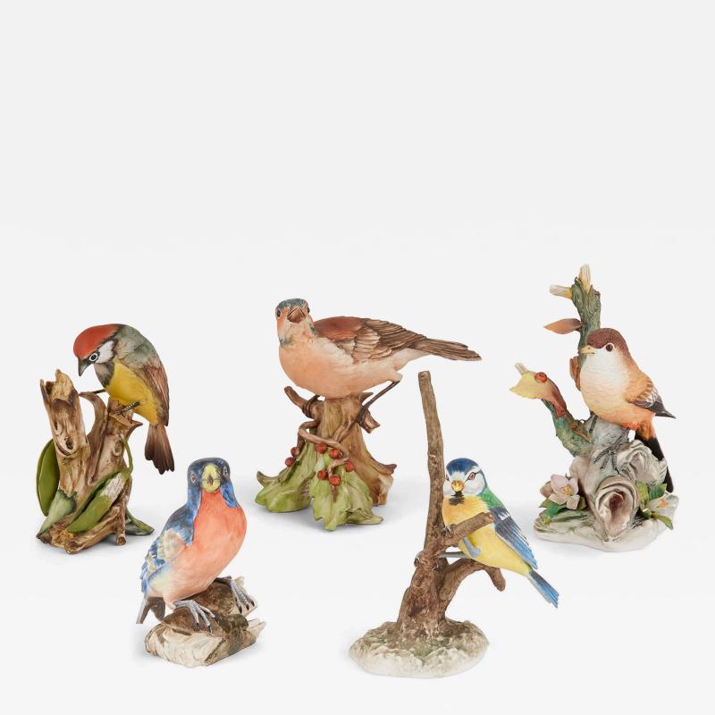 Collection of five bisque porcelain bird models
