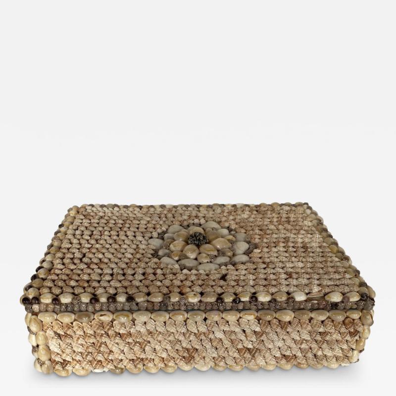Contemporary American Modern Conch and Cowrie Seashell Jewelry Box