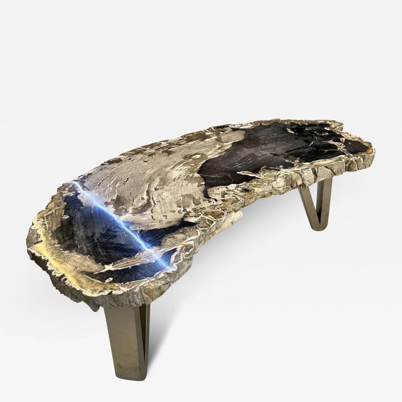 Contemporary Petrified Wood Coffee Table With Stainless Steel Feet 2023