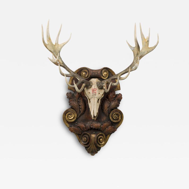 Continental Rustic Wall Plaque of Elk Head with Red Painted E on Curved Plaque