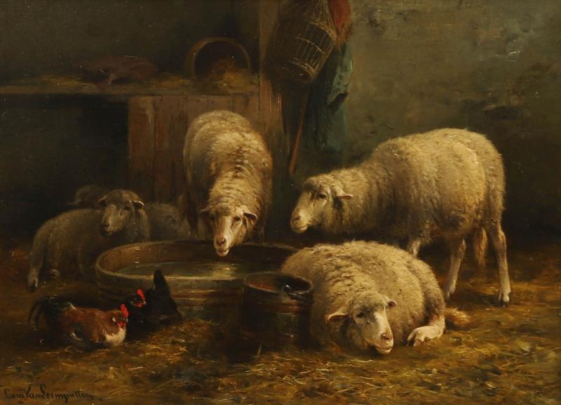 Cornelis Van Leemputten SHEEP IN A BARN WITH CHICKENS