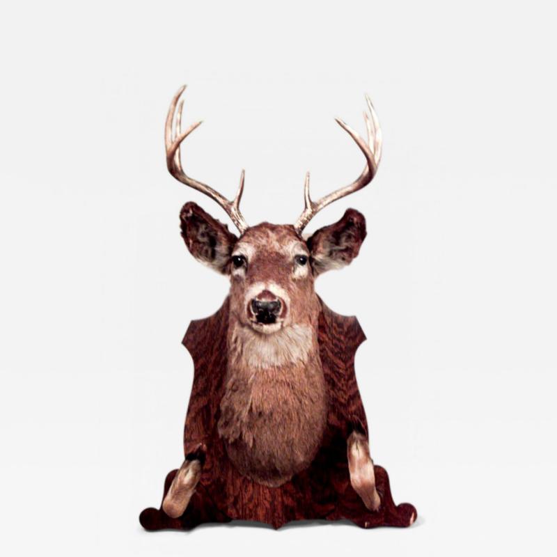 Country Taxidermy Dear Head Hatrack