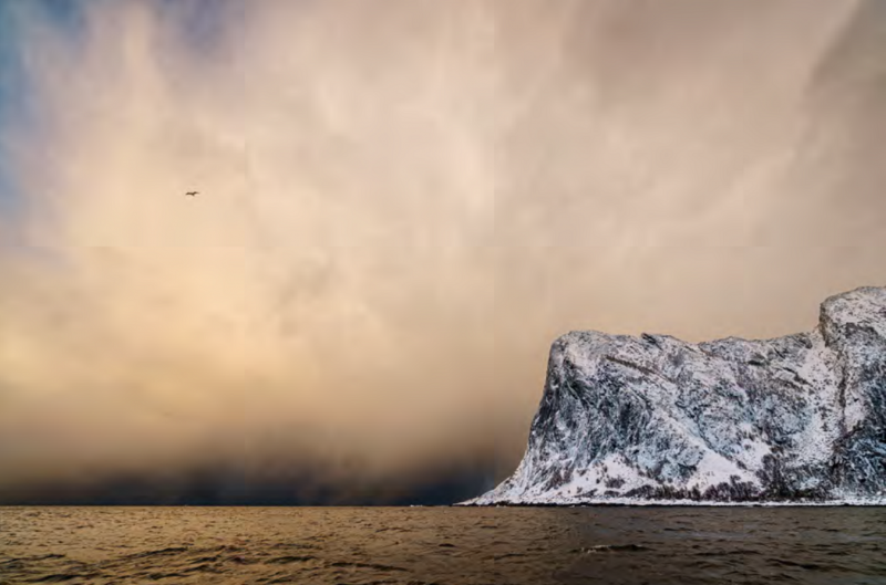Cristina Mittermeier ARCTIC FIRE 6 