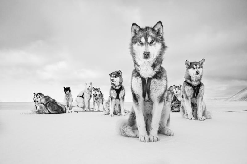 Cristina Mittermeier Big Shot 6 
