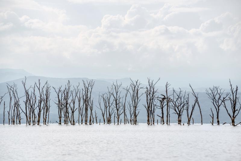 Cristina Mittermeier Ghosts of the Lake 6 