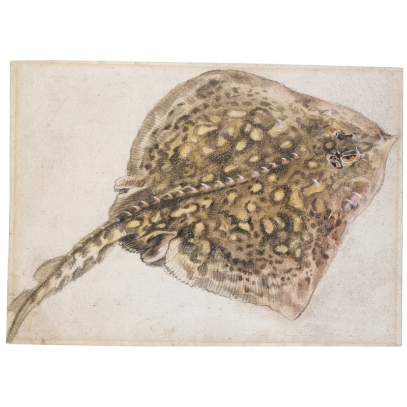 DUTCH SCHOOL 17TH CENTURY 