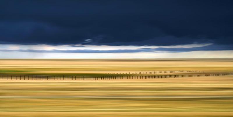 Danae Fallier Prairie 51