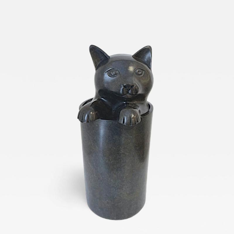 Daniel Daviau Kitten 2024