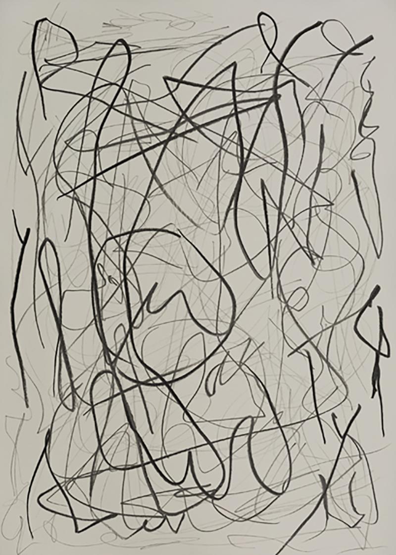 Daniel Firman I REFUSE TO DRAW TODAY Contemporary drawing