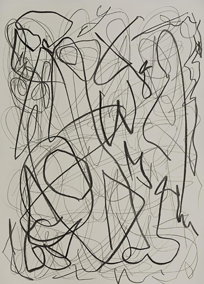 Daniel Firman I REFUSE TO DRAW TODAY Contemporary drawing