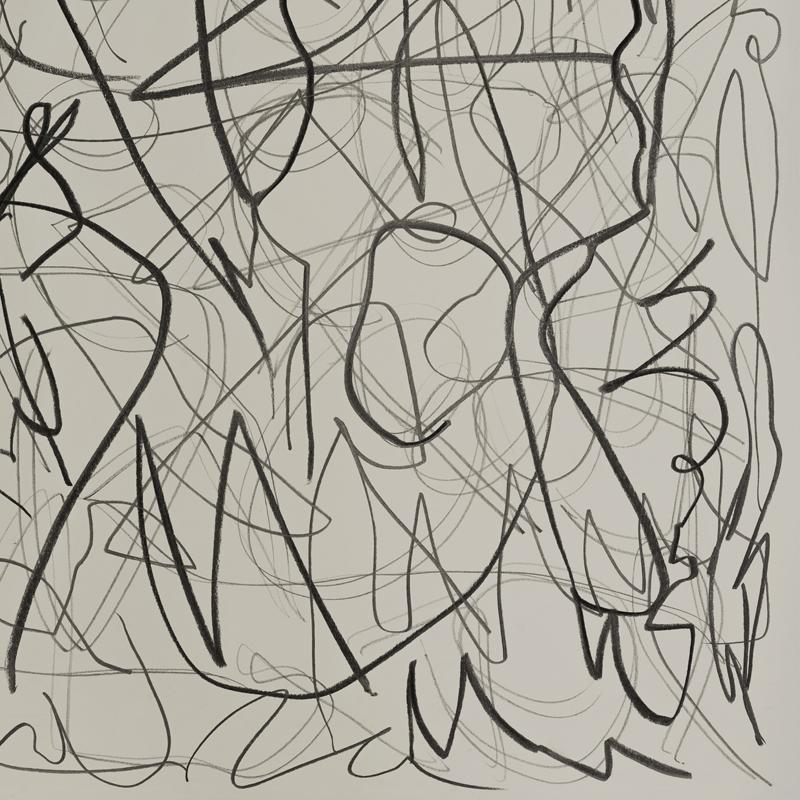 Daniel Firman - I REFUSE TO DRAW TODAY Contemporary drawing