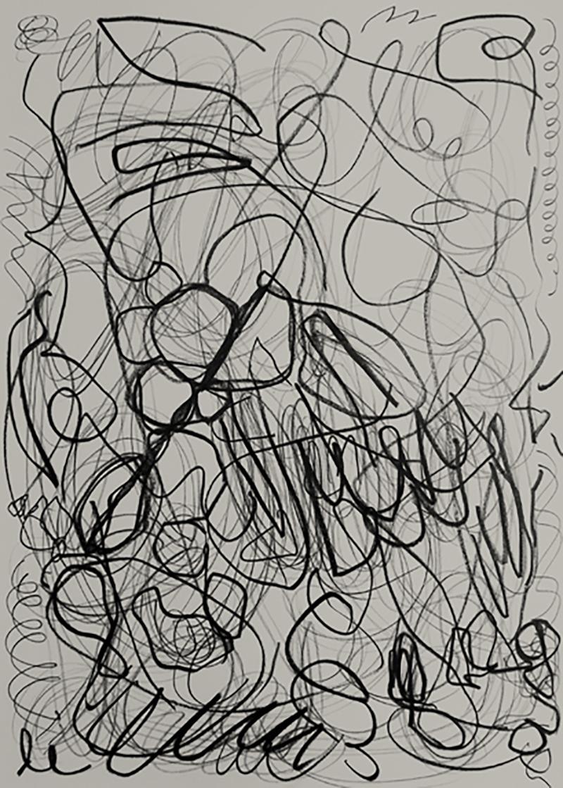 Daniel Firman I REFUSE TO DRAW TODAY Contemporary drawing