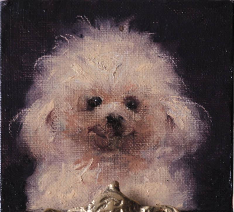 Darvish Fakhr Lufy 2025