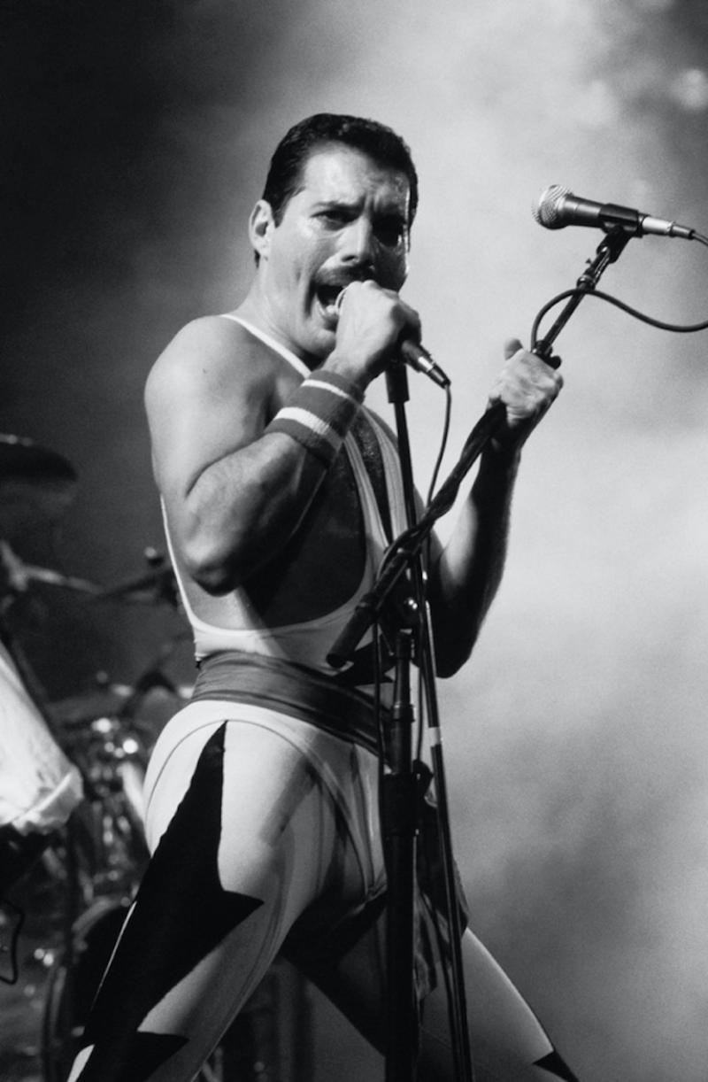 Dave Hogan Freddie Mercury