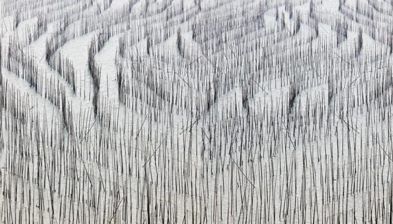 David Burdeny Bamboo 1 Fujan China