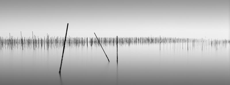 David Burdeny Ise s Garden Japan