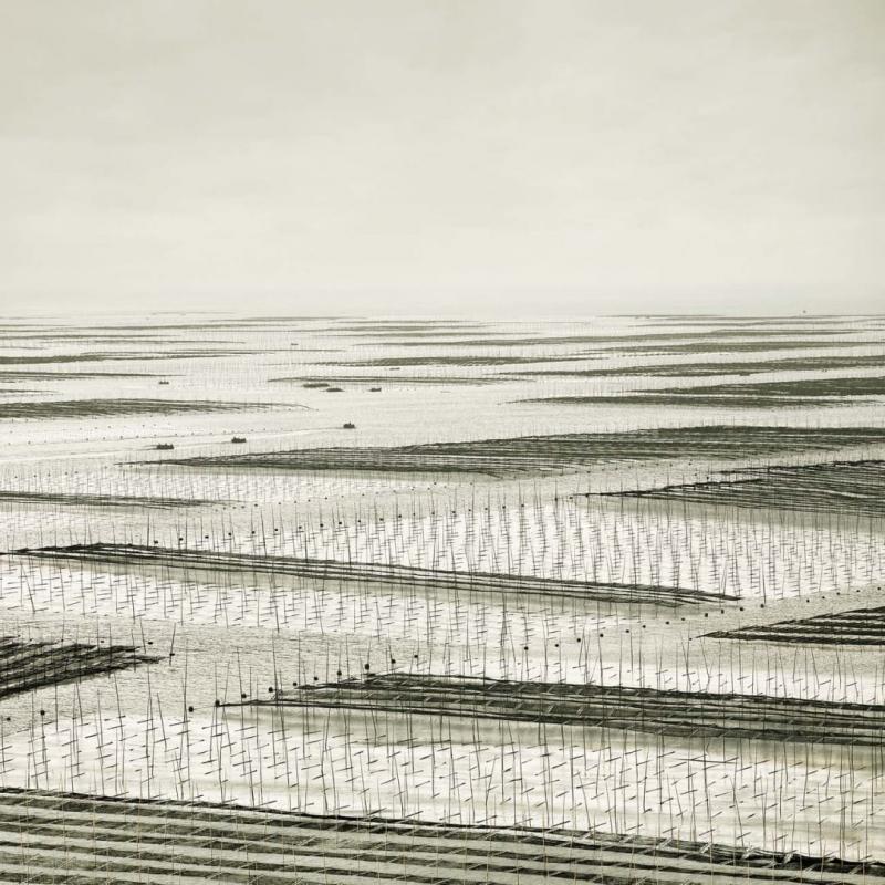 David Burdeny Mesh South China Sea