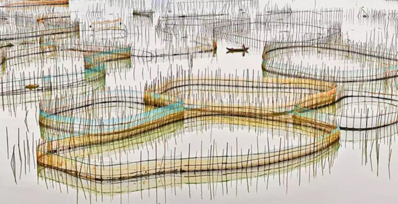 David Burdeny Nets Study 5 China