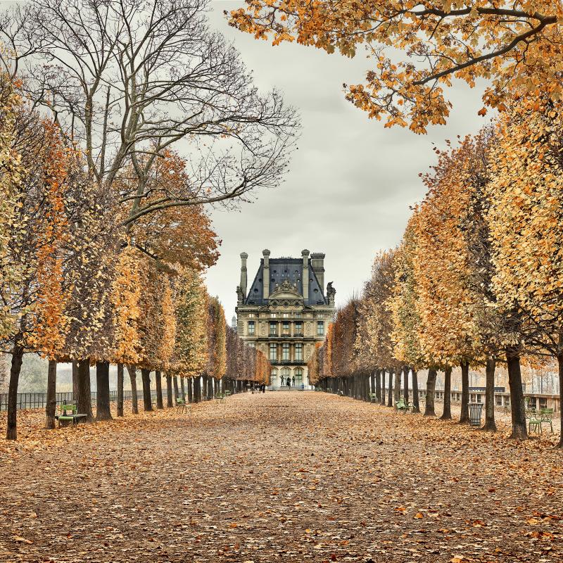 David Burdeny Red Leaves Paris