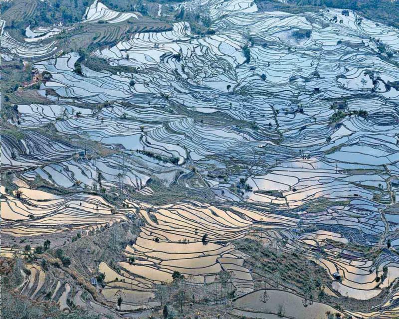 David Burdeny Rice Terraces Laohuzui I Yunnan China