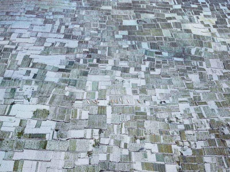 David Burdeny Seaweed Farms I Bali Indonesia