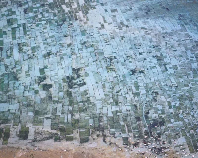 David Burdeny Seaweed Farms II Bali Indonesia