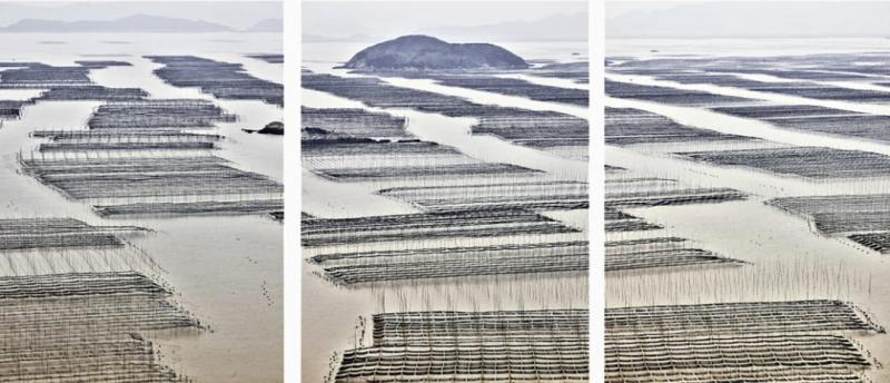 David Burdeny Seaweed Farms triptych China