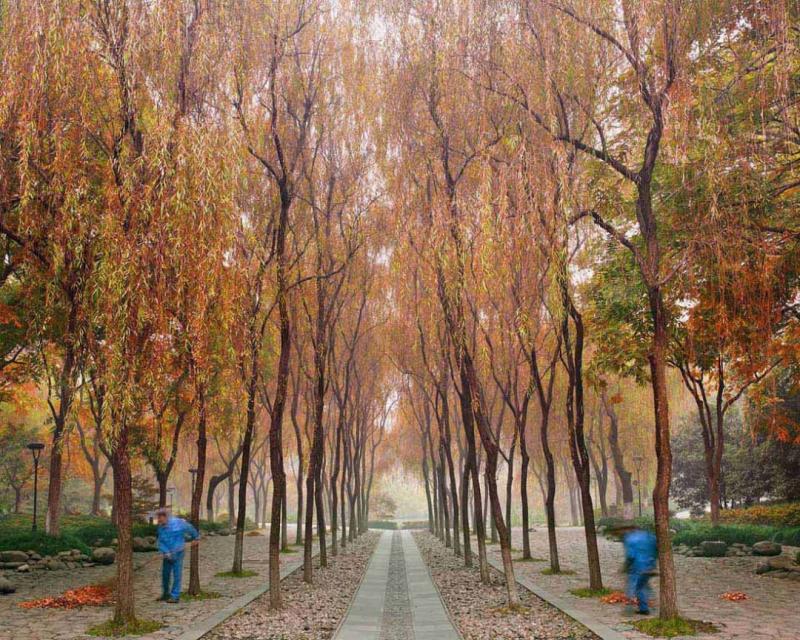 David Burdeny Sweepers West Lake Hangzhou China