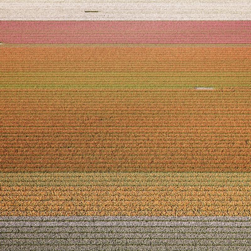 David Burdeny Veld 06 Noordoostpolder The Netherlands 