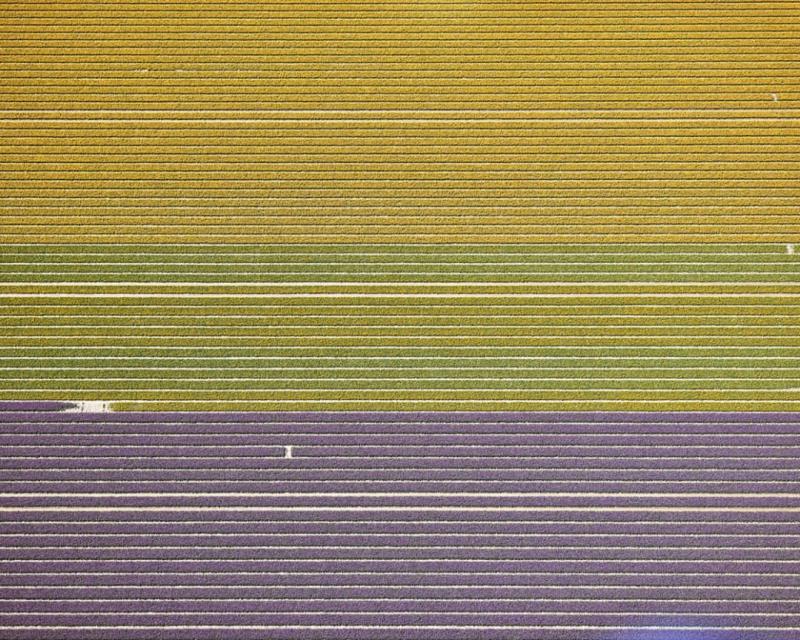 David Burdeny Veld 10 Noordoostpolder Flevoland The Netherlands
