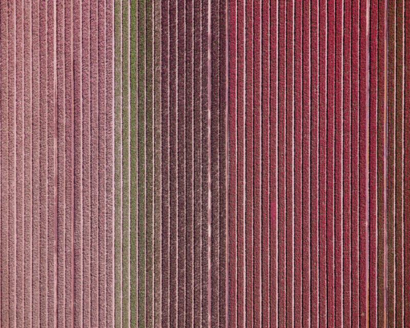 David Burdeny Veld 12 Noordoostpolder Flevoland The Netherlands