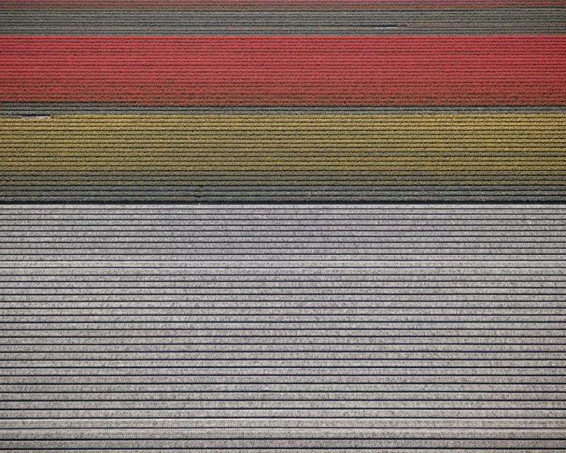 David Burdeny Veld 14 Noordoostpolder Flevoland The Netherlands