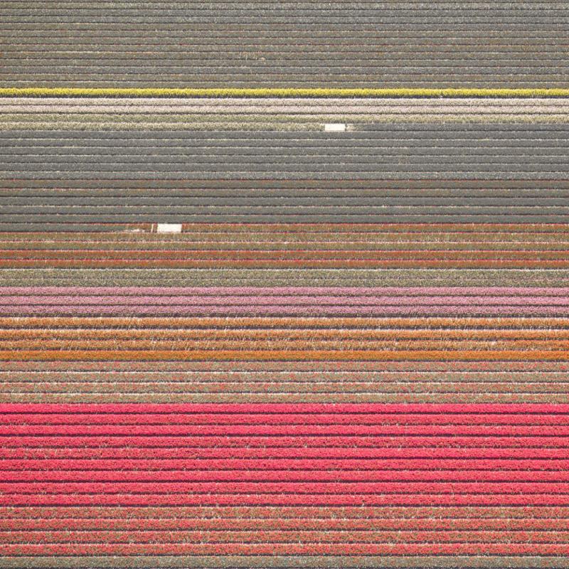 David Burdeny Veld 15 Noordoostpolder Flevoland The Netherlands