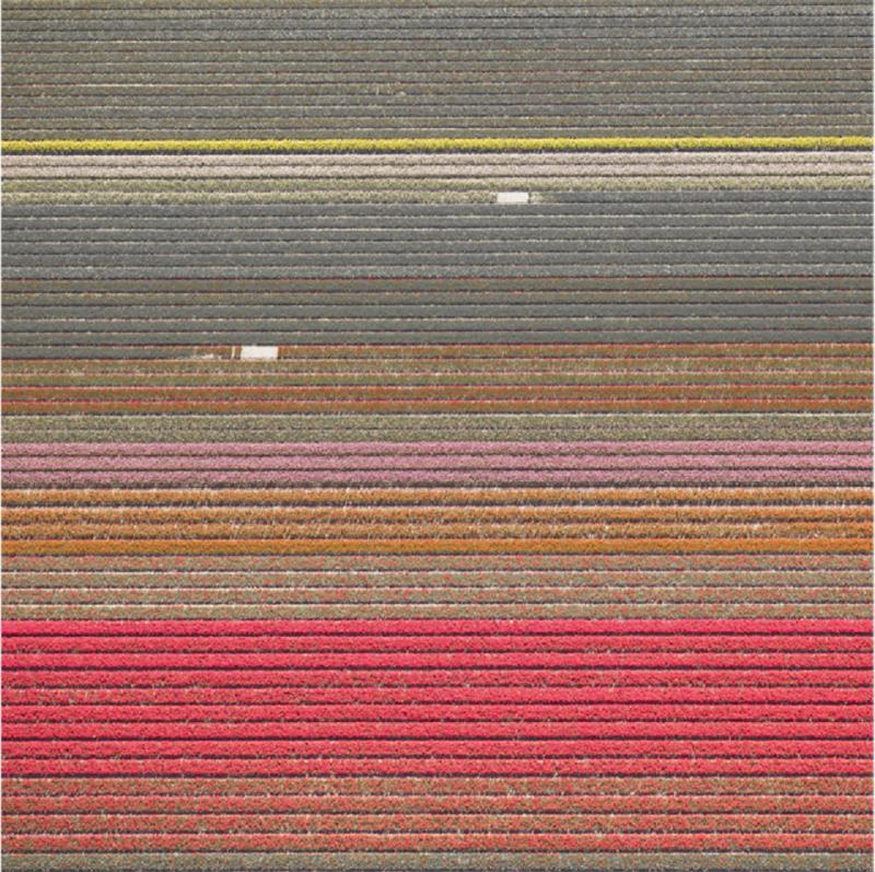 David Burdeny Veld 15 Noordoostpolder The Netherlands 