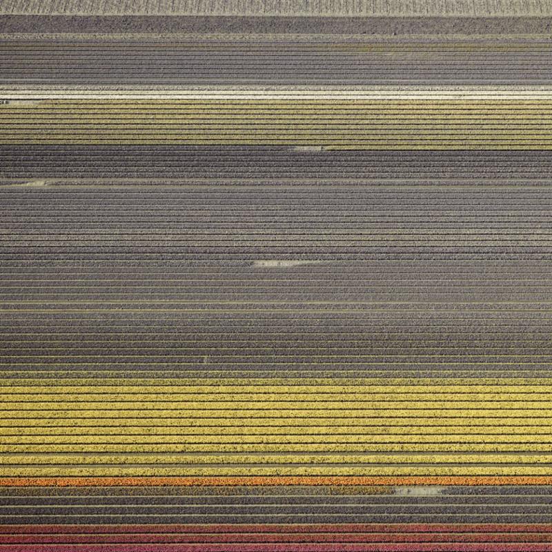 David Burdeny Veld 17 Noordoostpolder Flevoland The Netherlands
