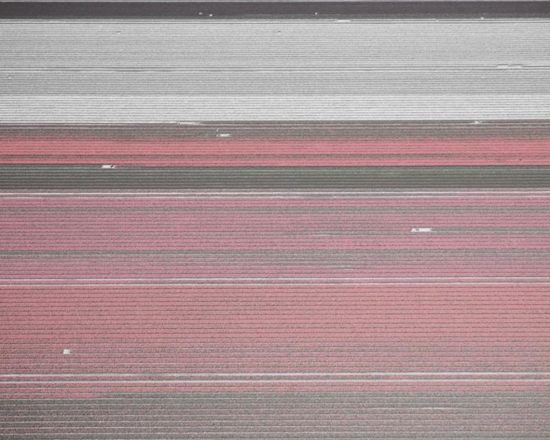 David Burdeny Veld 18 Noordoostpolder Flevoland The Netherlands