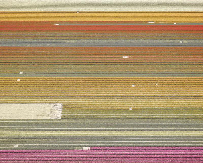 David Burdeny Veld 21 Noordoostpolder Flevoland The Netherlands