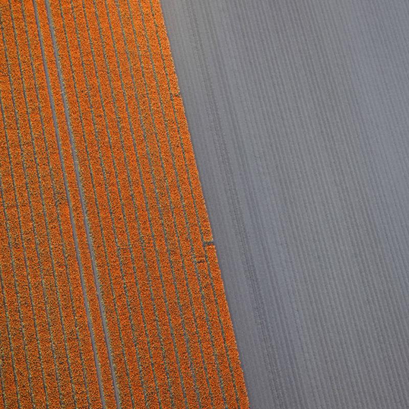 David Burdeny Veld 22 Noordoostpolder Flevoland The Netherlands