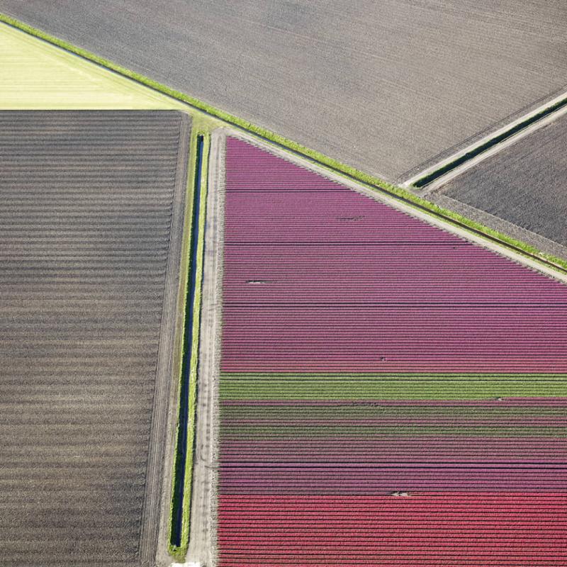 David Burdeny Veld 24 Noordoostpolder Flevoland The Netherlands