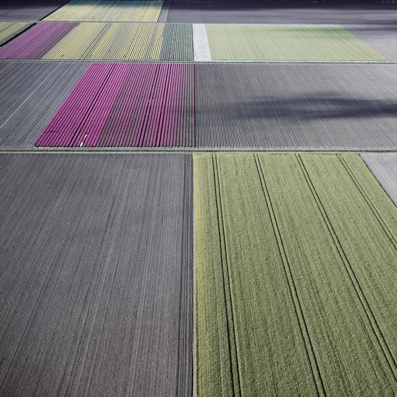 David Burdeny Veld 25 Noordoostpolder Flevoland The Netherlands
