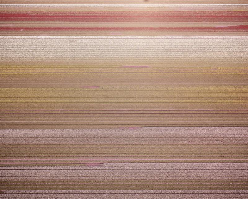David Burdeny Veld 3 Noordoostpolder Flevoland The Netherlands