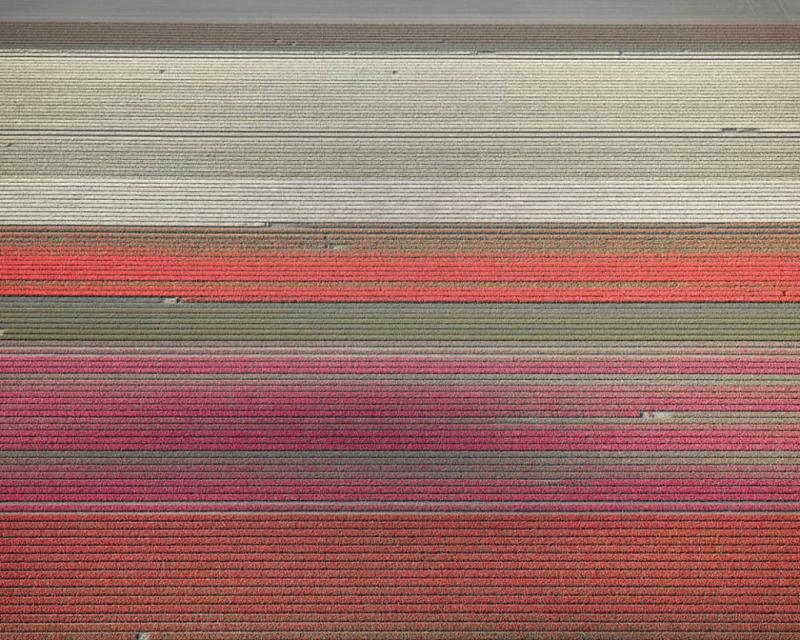 David Burdeny Veld 9 Noordoostpolder Flevoland The Netherlands