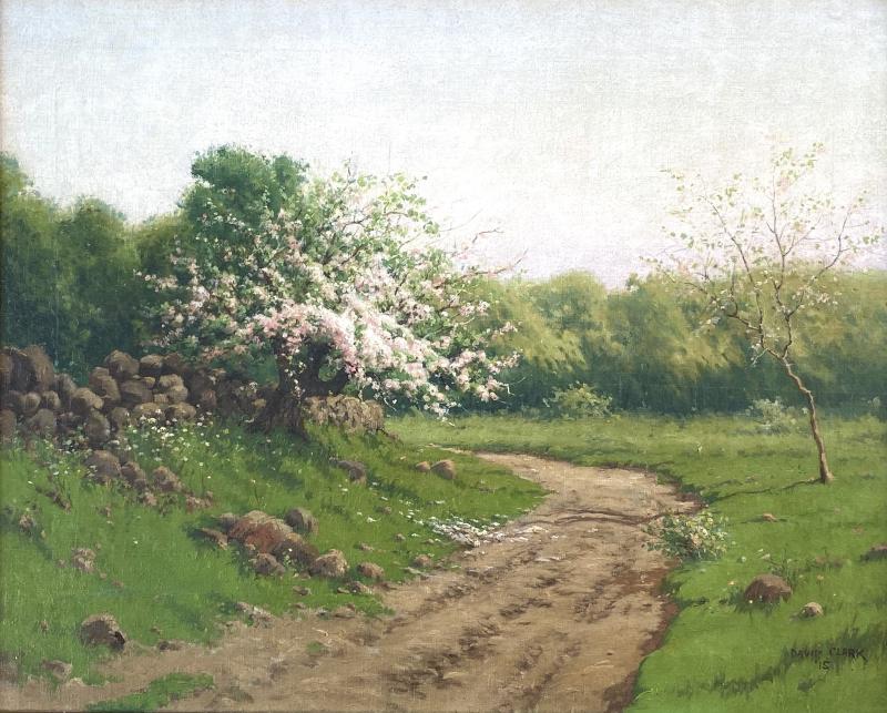 David Clark Apple Blossom Time 