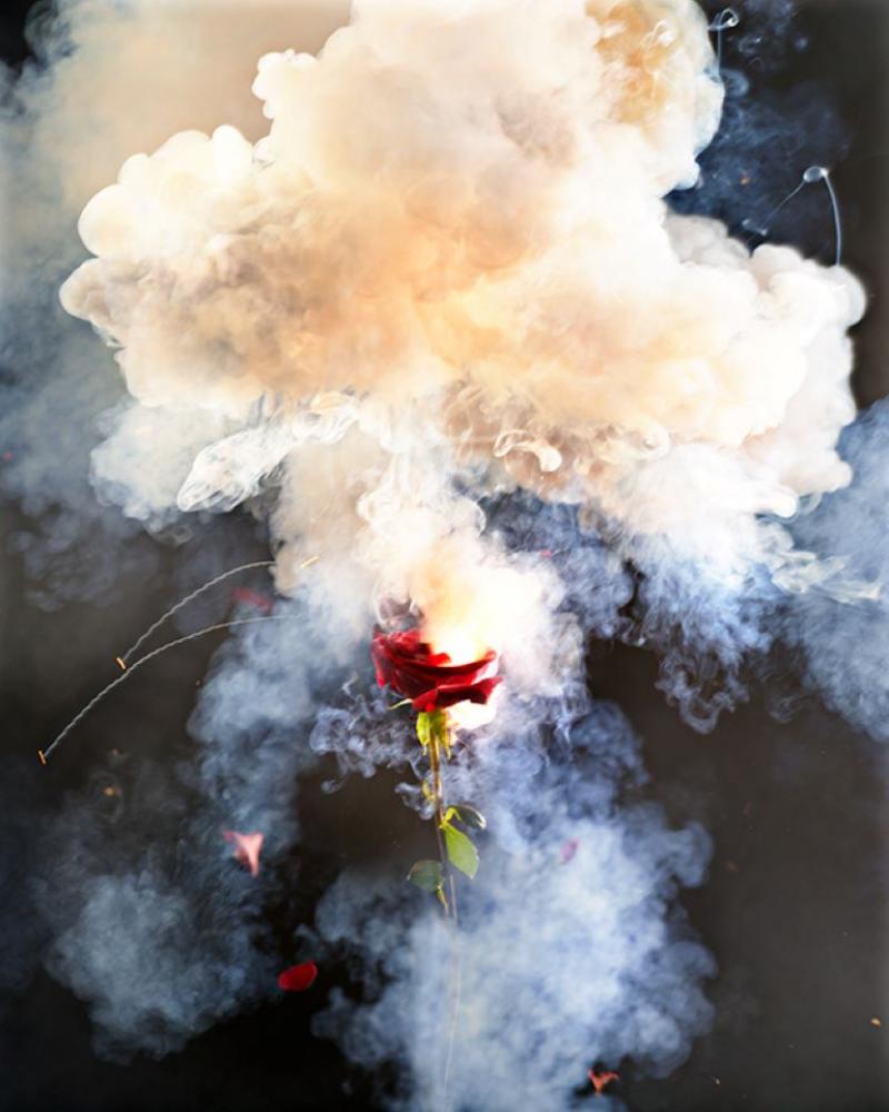 David Drebin David Drebin Exploding Rose 2013
