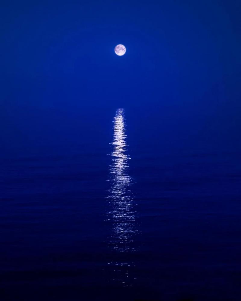David Drebin MOONBEAM