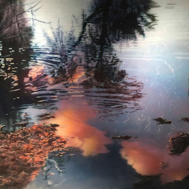 David Kessler SHIFTING ELEGANCE